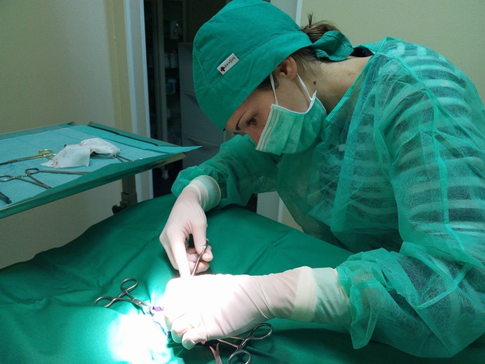 Cirurgia - Centro Veterinário da Costa Vicentina