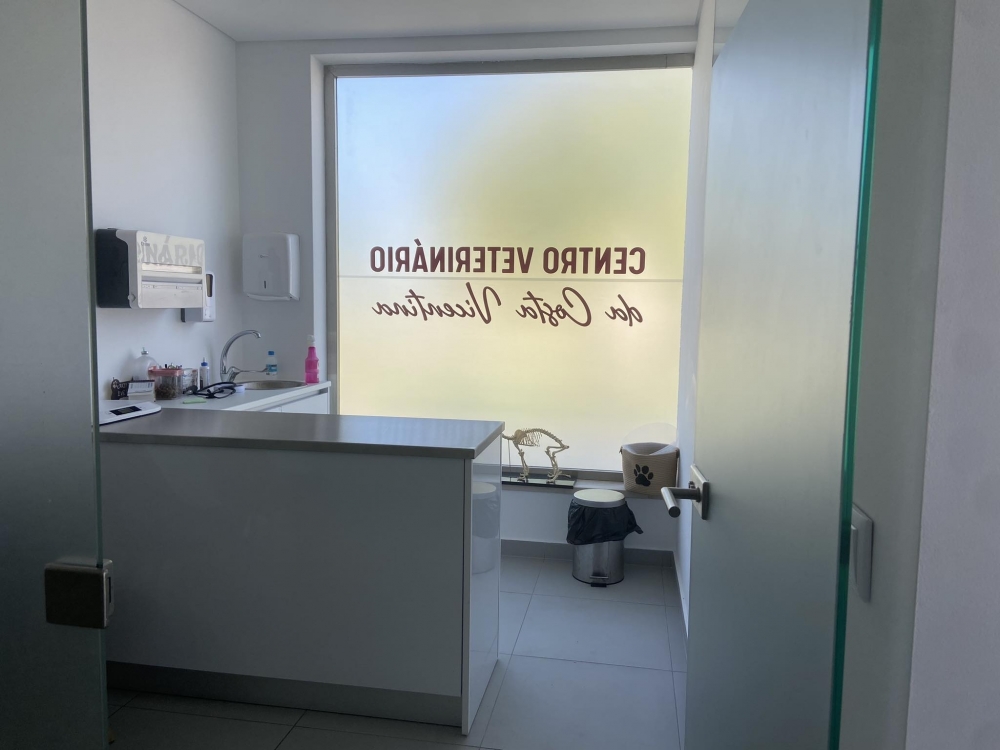 Consultórios - Centro Veterinário da Costa Vicentina