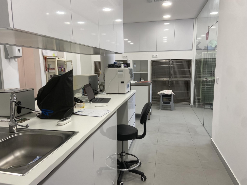 Laboratório - Centro Veterinário da Costa Vicentina